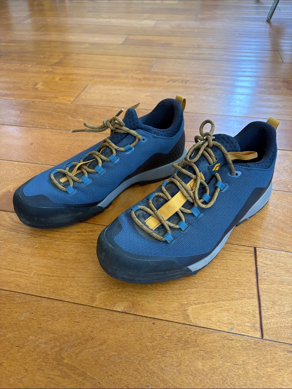 Men's Black Diamond mission LT Approach shoes